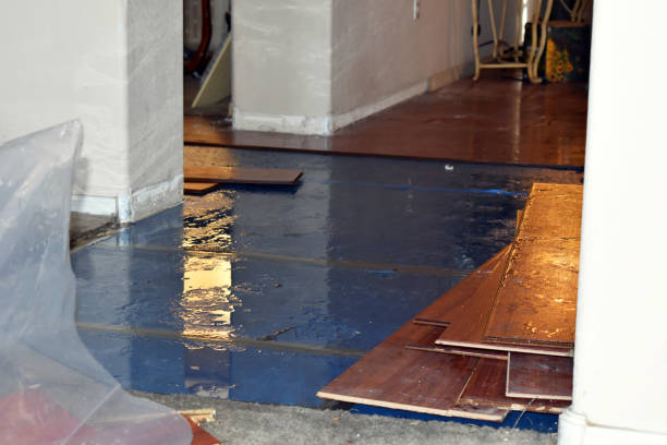 Professional Basement Flood Cleanup technician working in Salina, UT